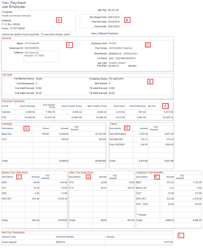 Image of the View/Print Earnings Statement page.