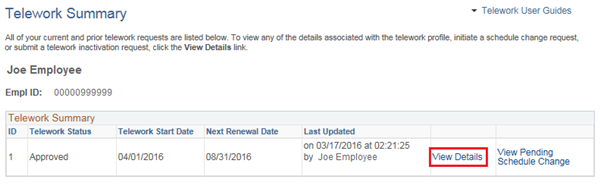 Image of the Telework Summary page with the View Details link highlighted.