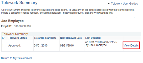 Image of the Telework Summary page with the View Details link highlighted.