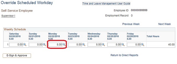 Image of the Override Scheduled Workday page. The image shows a highlighted box around a field for entering time.